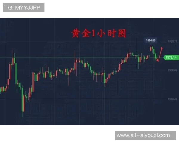 仙台维加泰与鸟栖沙岩比赛中断原因分析及影响探讨